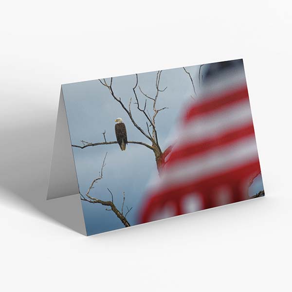 Patriotic Folded Notecard Bald Eagle with American Flag
