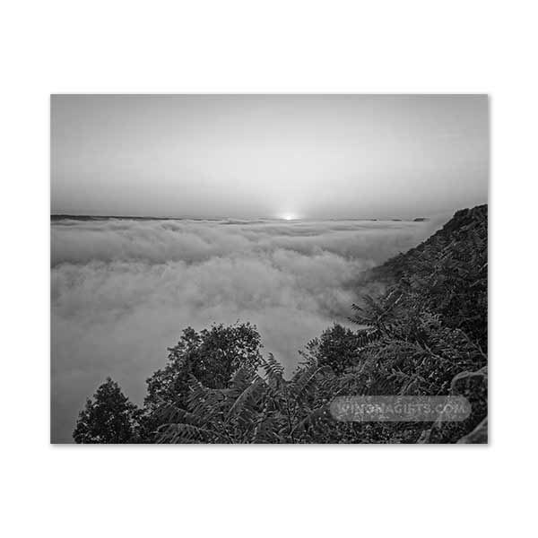 Winona MN Black & White Photograph Foggy Garvin Heights