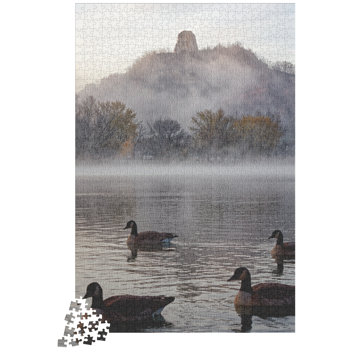 Sugarloaf_with_Geese_Winona_Minn_1014_Pi_1014pc_V_Loose_Mockup.png_16111771
