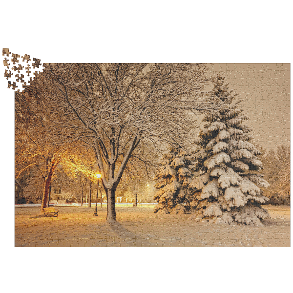 Winona_Minn_1014_Piece_Puzzle_Snow_at_Wi_1014pc_V_Loose_Mockup.png