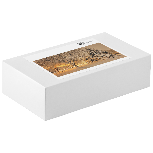Winona_Minn_1014_Piece_Puzzle_Snow_at_Wi_1014pc_V_Packaging_Mockup.png