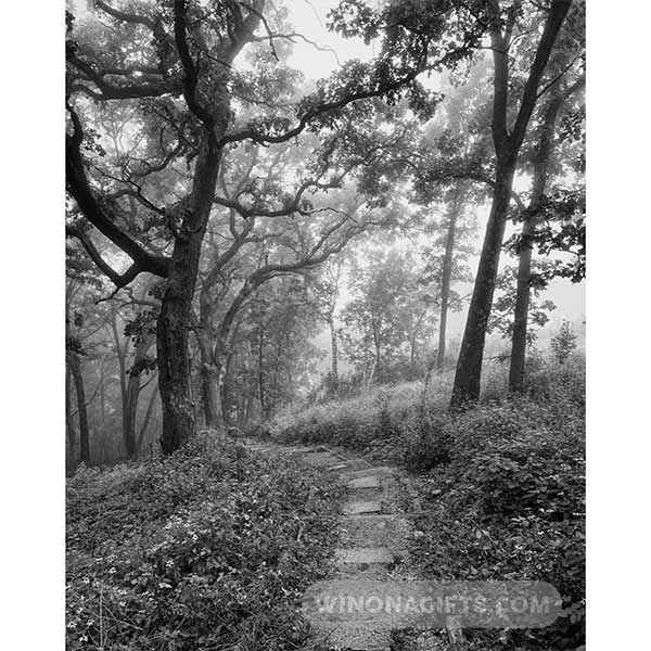 Garvin Heights Steps Foggy Morning Black & White