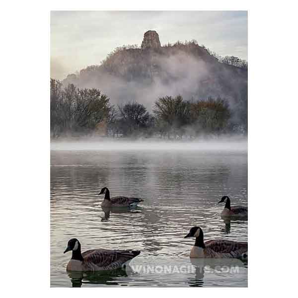 Heavy Traffic at East Lake Winona - Canada Geese - Art Print