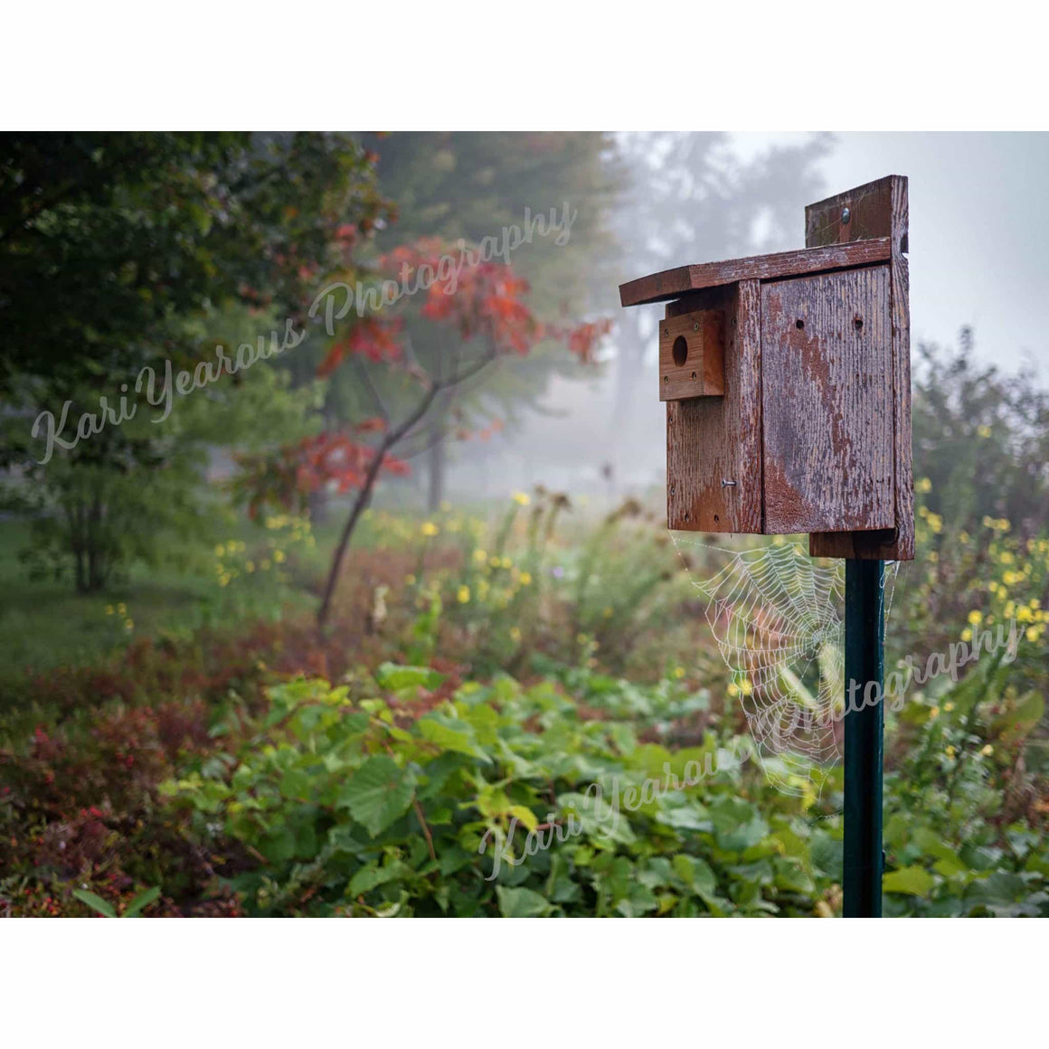 Canvas Mini Birdhouse with Spider Web - Kari Yearous Photography