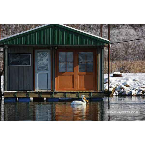 Boathouse with Pelican Winona Minnesota - Art Print