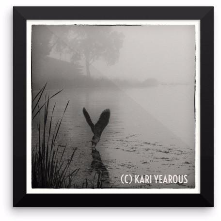 Framed Poster Heron at East Lake Winona - Kari Yearous Photography