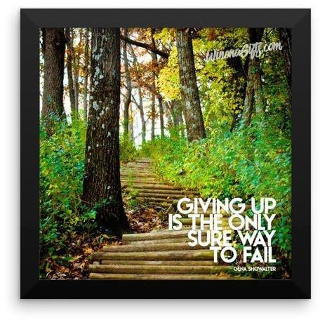 Framed Inspirational Poster Giving Up Only Way To Fail, Garvin Heights Steps - Kari Yearous Photography WinonaGifts KetoGifts LoveDecorah