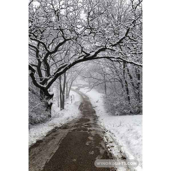 Winter Walkway at Garvin Heights Winona Minnesota - Art Print