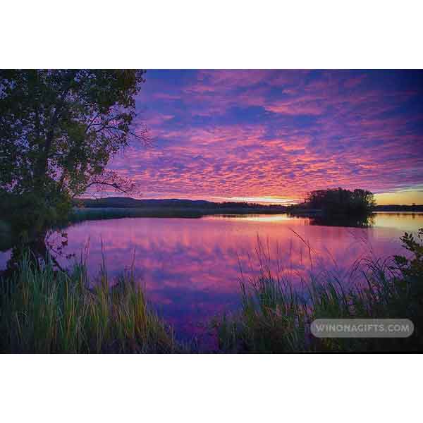 Winona Minn Sunrise At Rileys Lake - Art Print - Kari Yearous Photography WinonaGifts KetoGifts LoveDecorah