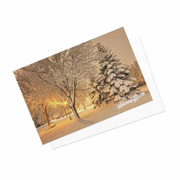 Winona Minn Single-Sided Postcards Snowy Night at Windom Park